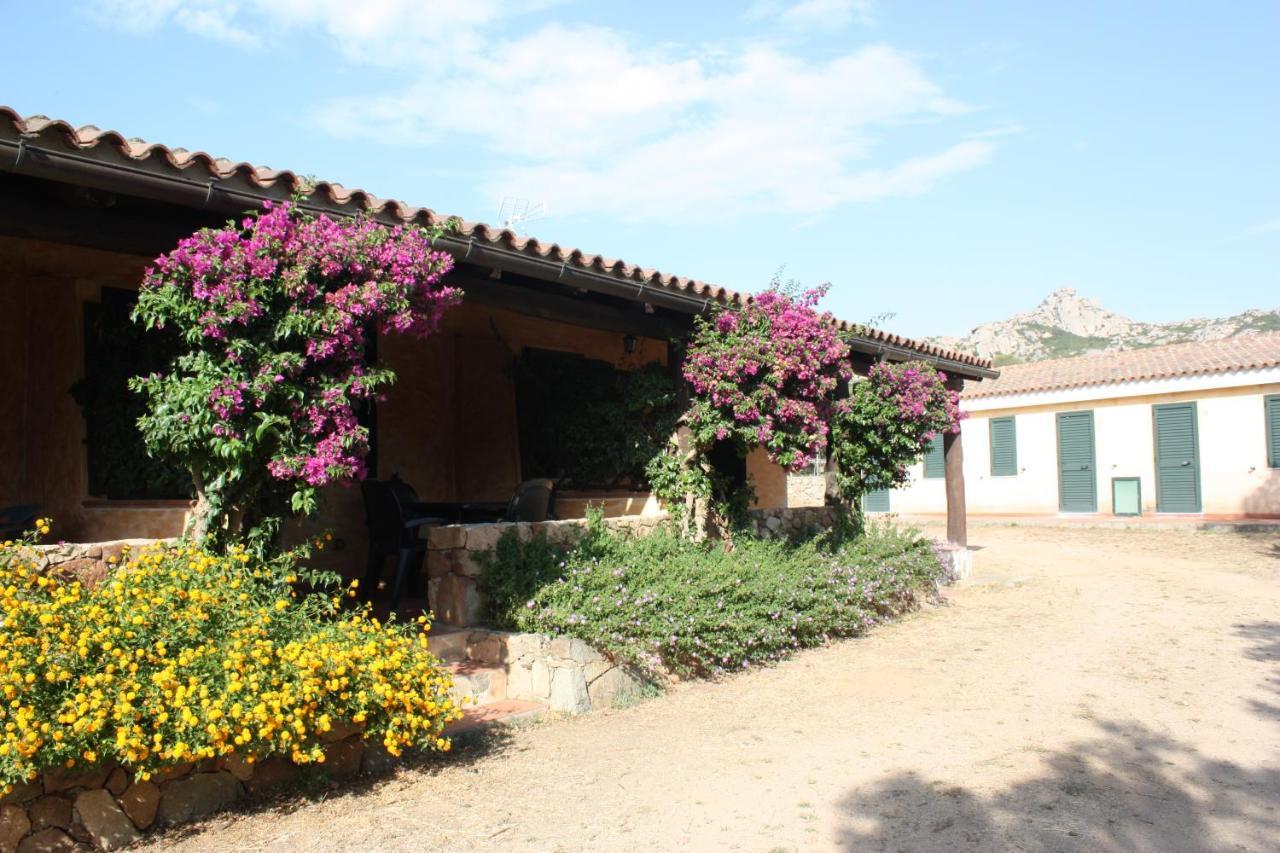 Agriturismo Lu Branu อาร์ซาเคนา ภายนอก รูปภาพ