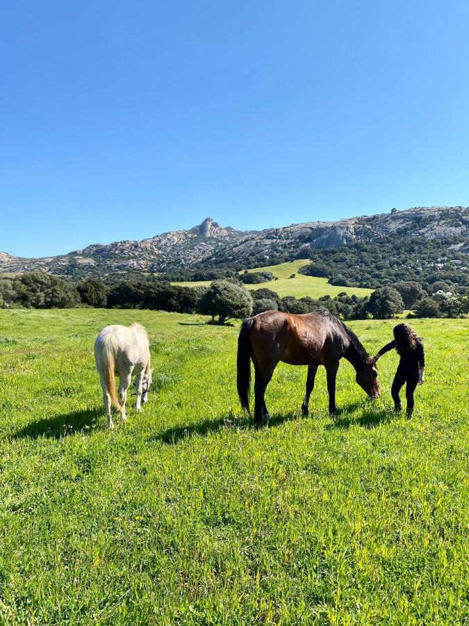Agriturismo Lu Branu อาร์ซาเคนา ภายนอก รูปภาพ