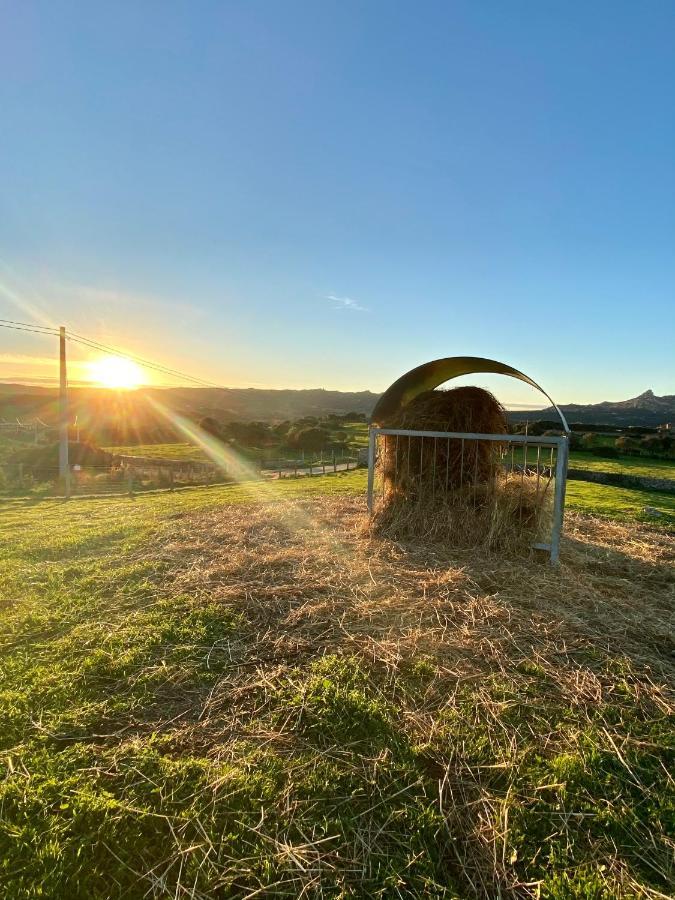 Agriturismo Lu Branu อาร์ซาเคนา ภายนอก รูปภาพ